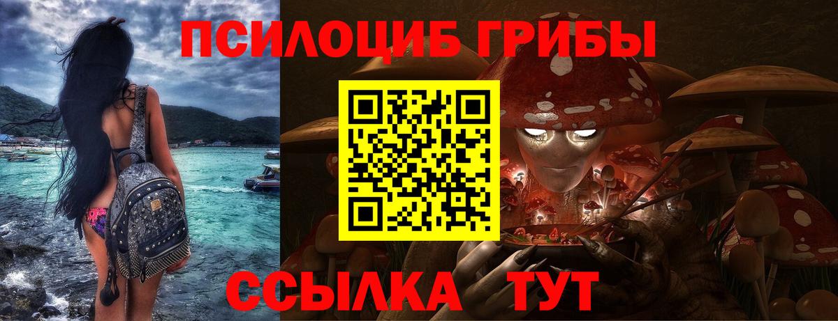 Псилоцибиновые грибы мухоморы  Вход с VPN  купить наркотик  Кохма  Псилоцибиновые грибы Cubensis 